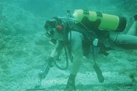 Diving for artifacts and sunken treasure in the Caribbean